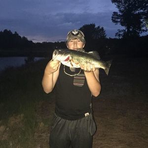 Meet your Posher, Bradley